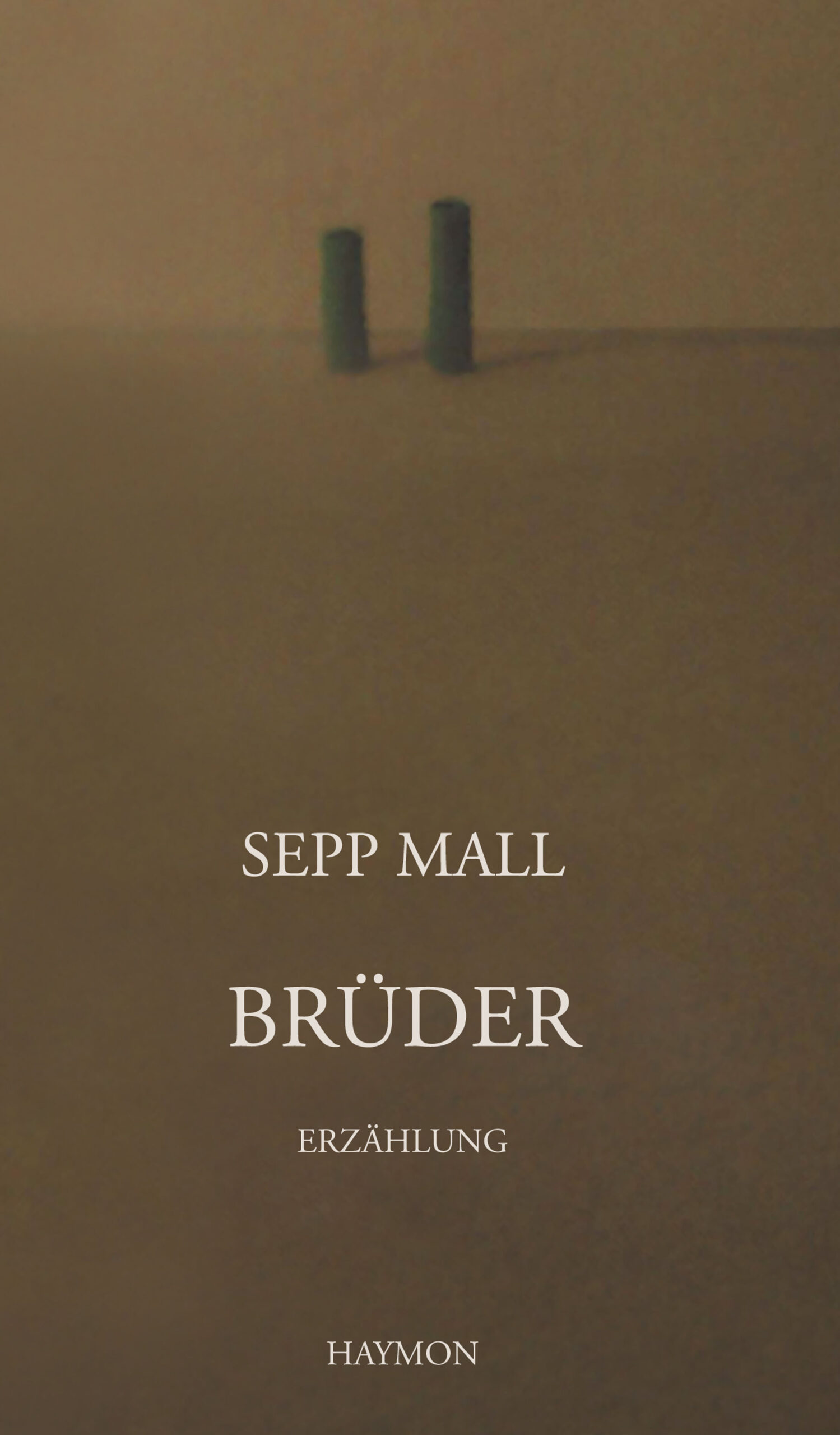 Cover Taschenbuch Brüder