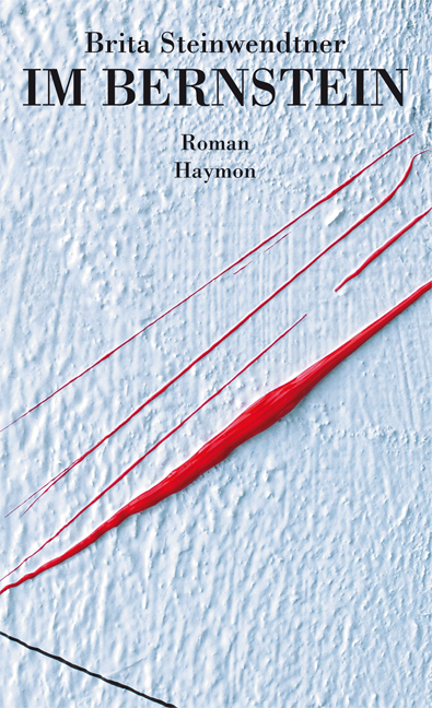 Cover Taschenbuch Im Bernstein