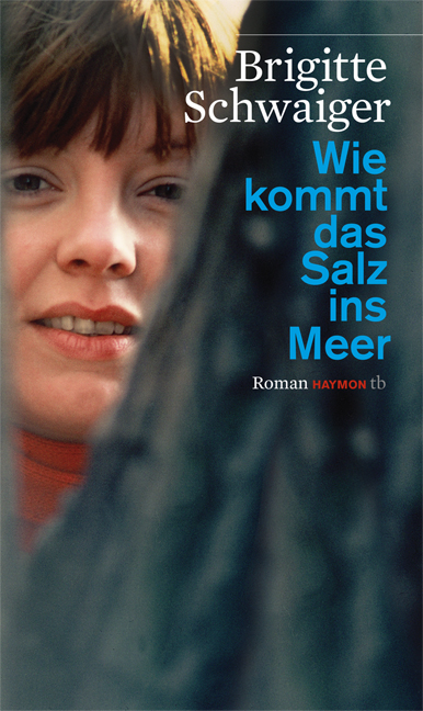 Cover Taschenbuch Wie kommt das Salz ins Meer