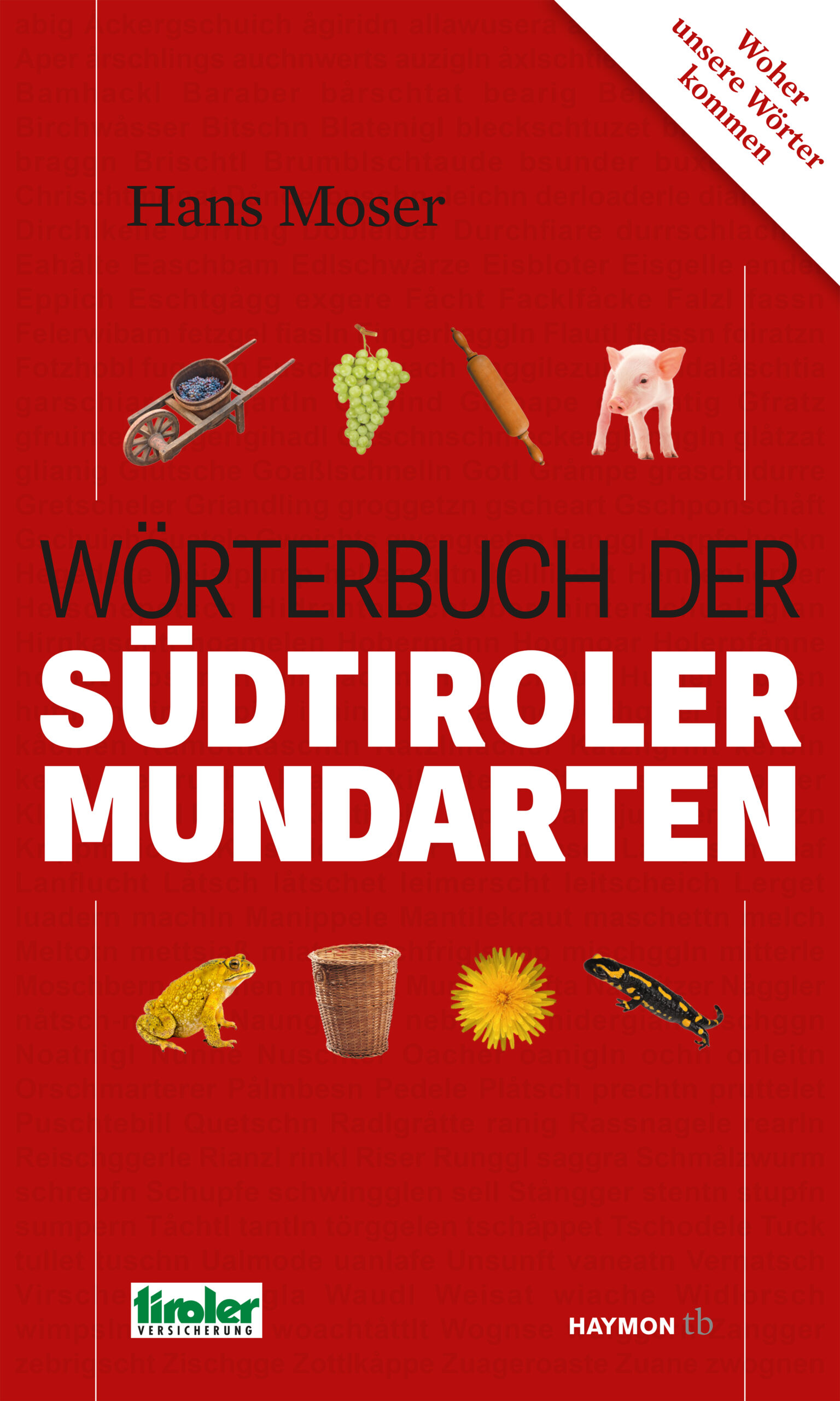Cover Taschenbuch Wörterbuch der Südtiroler Mundarten